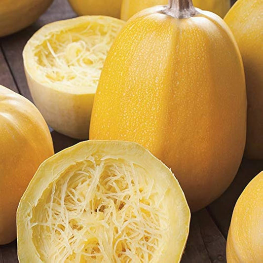 Vegetable Spaghetti Squash Seeds | Non - Garden Vegetable Seeds