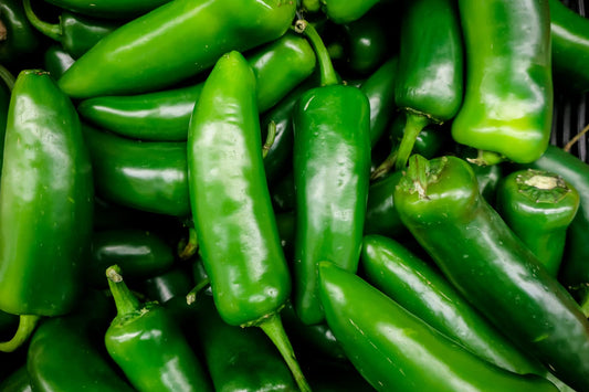 Jalapeno Pepper Bulk – Garden Vegetable Seeds