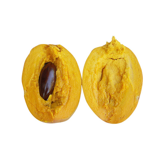 Lucuma Fruit Seeds – Exotic Tropical Variety for Home Gardening