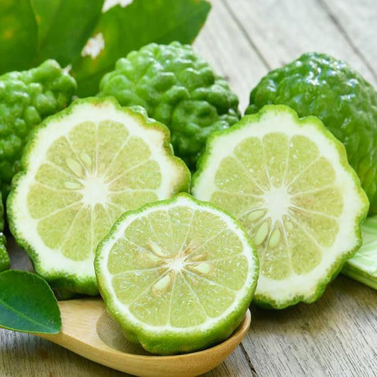 Bergamot Orange Seeds Citrus Bergamia - Fragrant Fruit Tree for Tea & Essential Oil