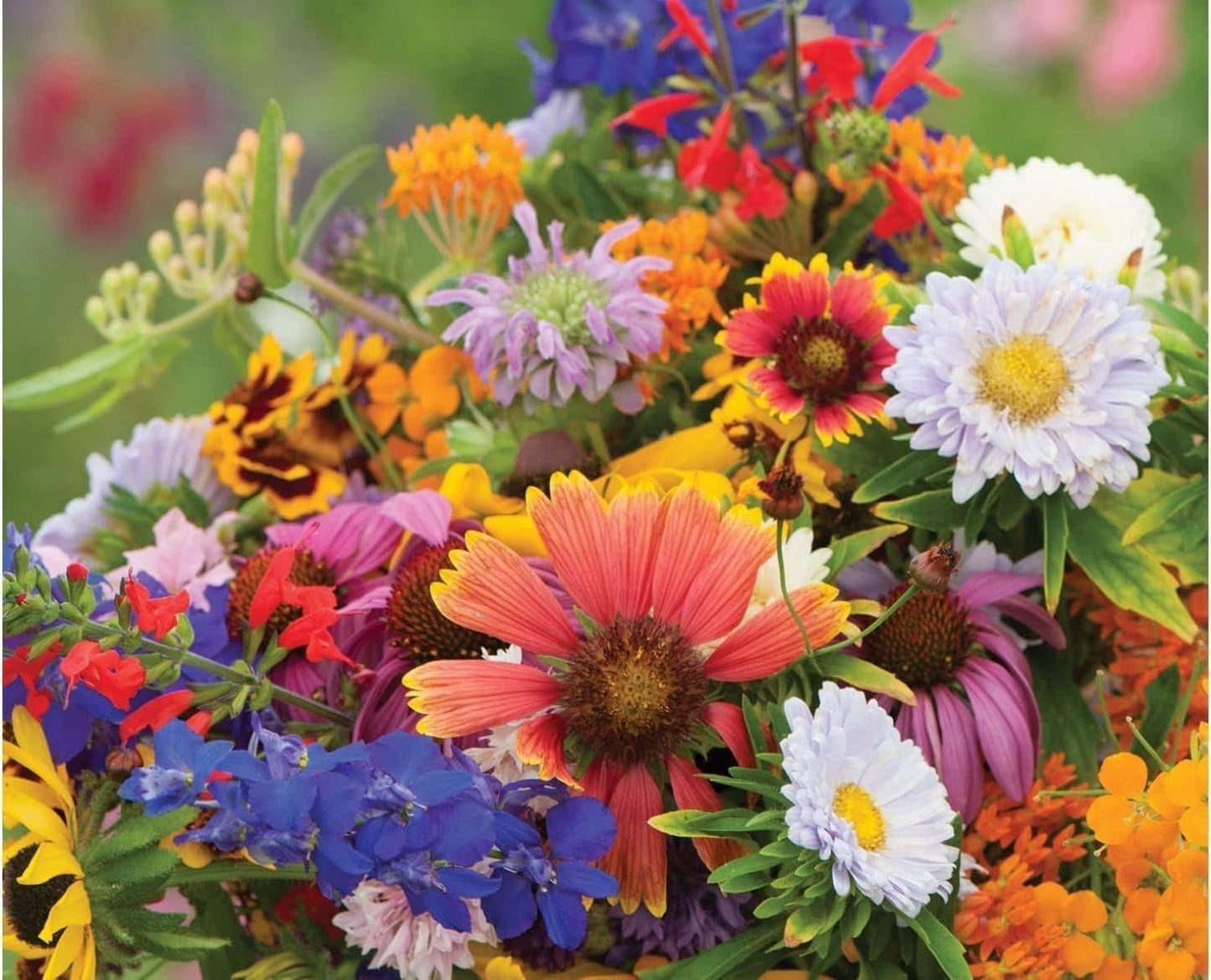 Wildflower Mix – Cascade Perennial Garden Flower Seeds