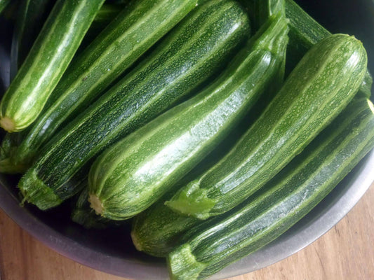 Italian Striped Zucchini – Garden Vegetable Seeds