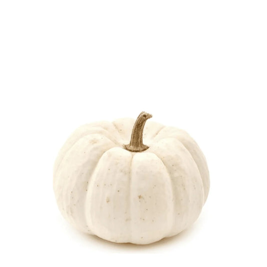 Pumpkin Lumina White Skin Variety Seeds – Rare White Type for Home Gardening