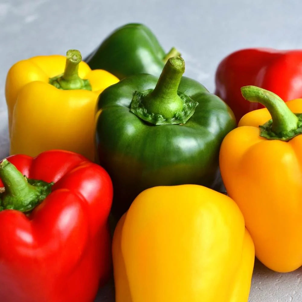 Sweetest Redyellowgreenorange Bell – Garden Fruit Seeds