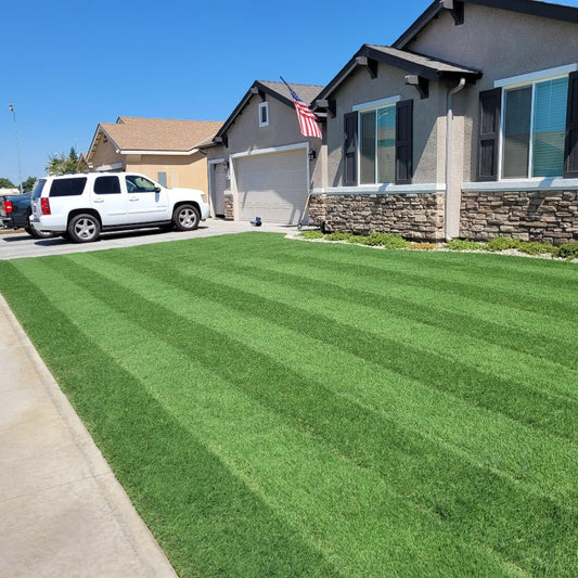 Bermuda Grass Seeds Cynodon Dactylon Fast-Growing Lawn Grass Drought & Heat Tolerant Turf