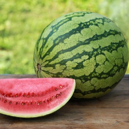 Crimson Sweet Watermelon Seeds – Heirloom, Non-GMO, High-Yield Sweet Red Flesh Variety
