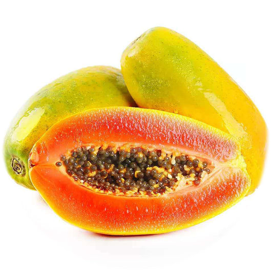 Red Lady Dwarf Papaya Seeds – Compact Early-Bearing Variety for Home Gardens