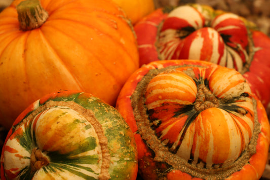 Tiny Turks Turban Pumpkin – Vegetable Seeds