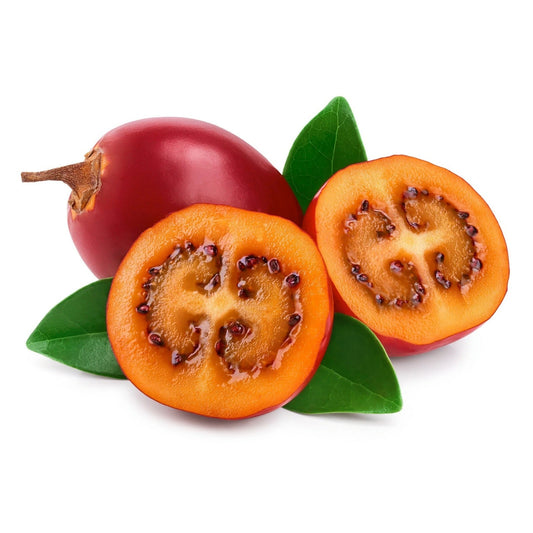 Red Tamarillo Solanum Betaceum – Fruit Tree Garden Seeds