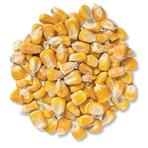 CZ Grain Pounds Deer Corn | Deer, Squirrels, Ducks Love It. Sprouts Well