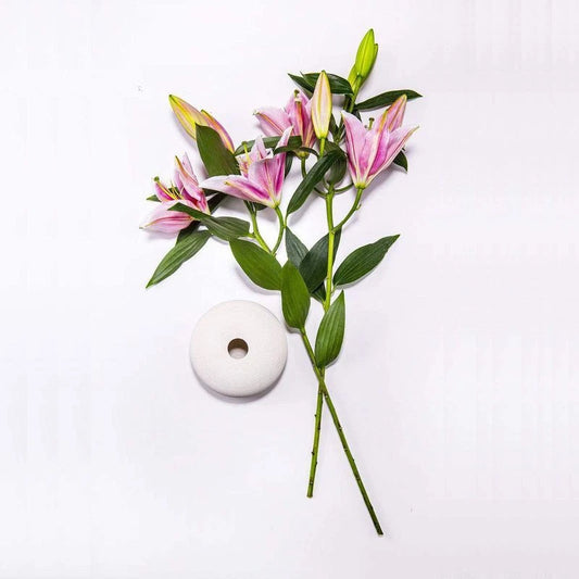 Lily Flower – Perennial Bonsai and Garden Flower Seeds