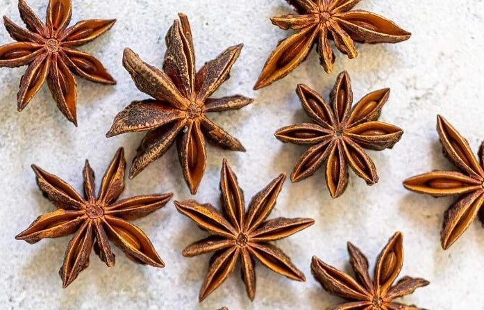 Chinese Star Anise Illicium Verum – Fragrant Shrub Tree Seeds