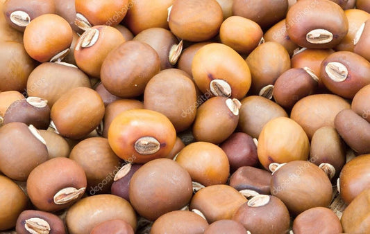 Winged Bean Psophocarpus Tetragonolobus – Vegetable Garden Seeds