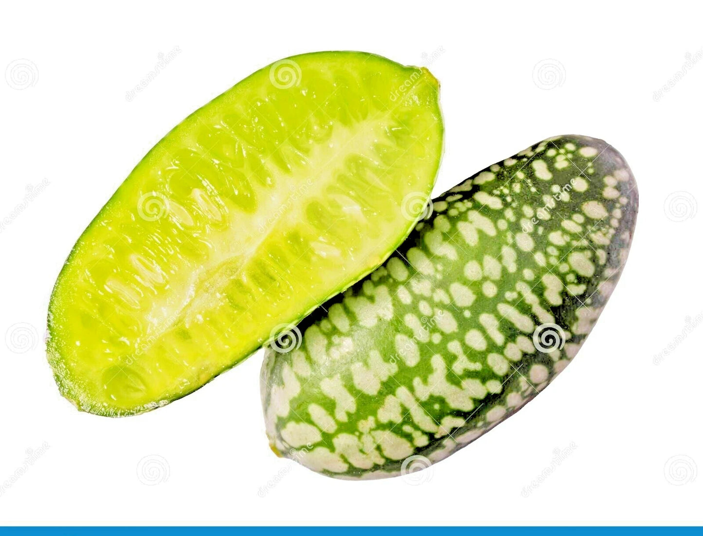 Mexican Sour Cucumber Melothria Scabra – Vegetable Seeds
