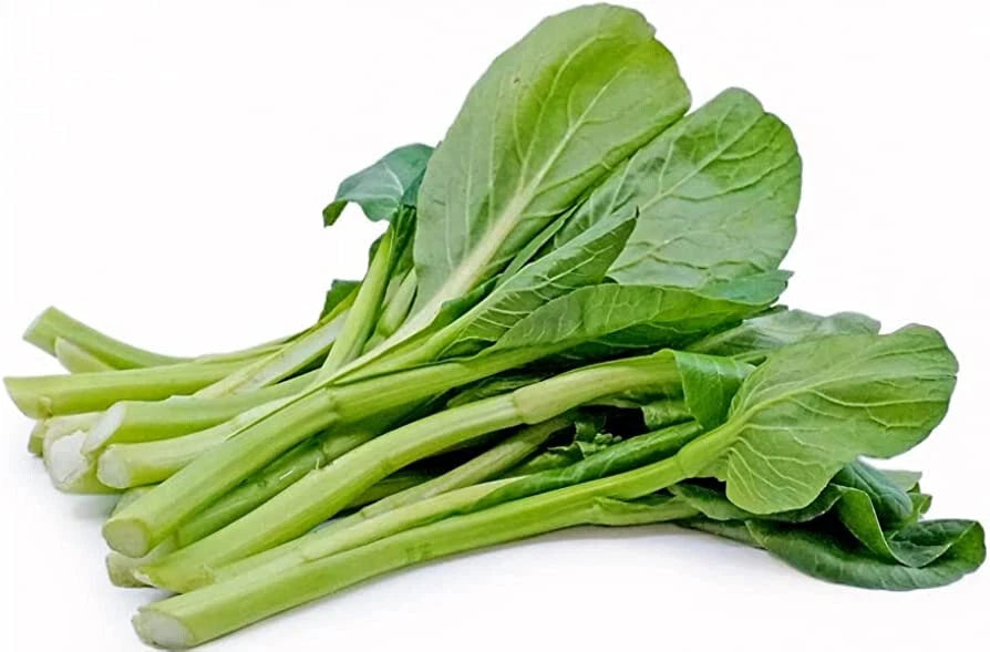 Yu Choy Choi Sum – Asian Vegetable Garden Seeds