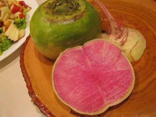 Watermelon Radish Seeds – Garden Fruit Seeds