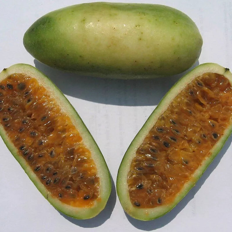 Banana Passionfruit Passion – Garden Fruit Seeds