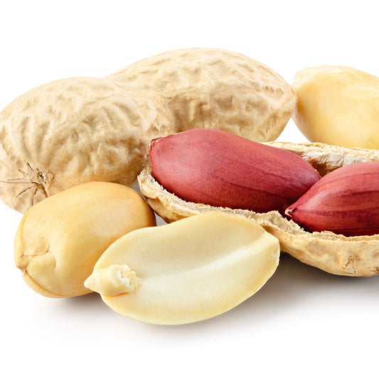 Peanut Plant Seeds for High Yield - Easy to Grow Groundnut Seeds