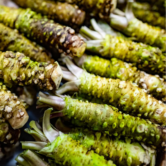 Wasabi (Japanese Horseradish) Seeds for Planting – Heirloom, Non-GMO, Easy to Grow, Perennial Herb