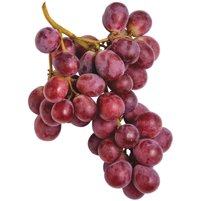Red Globe Grape (Vitis vinifera) Seeds for Planting – Heirloom, Non-GMO, Easy to Grow, Large Red Fruit Variety