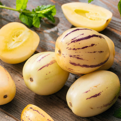 Pepino ‘Golden Sweet’ Seeds – Non-GMO, Heirloom, Easy-to-Grow Melon-Pear Variety
