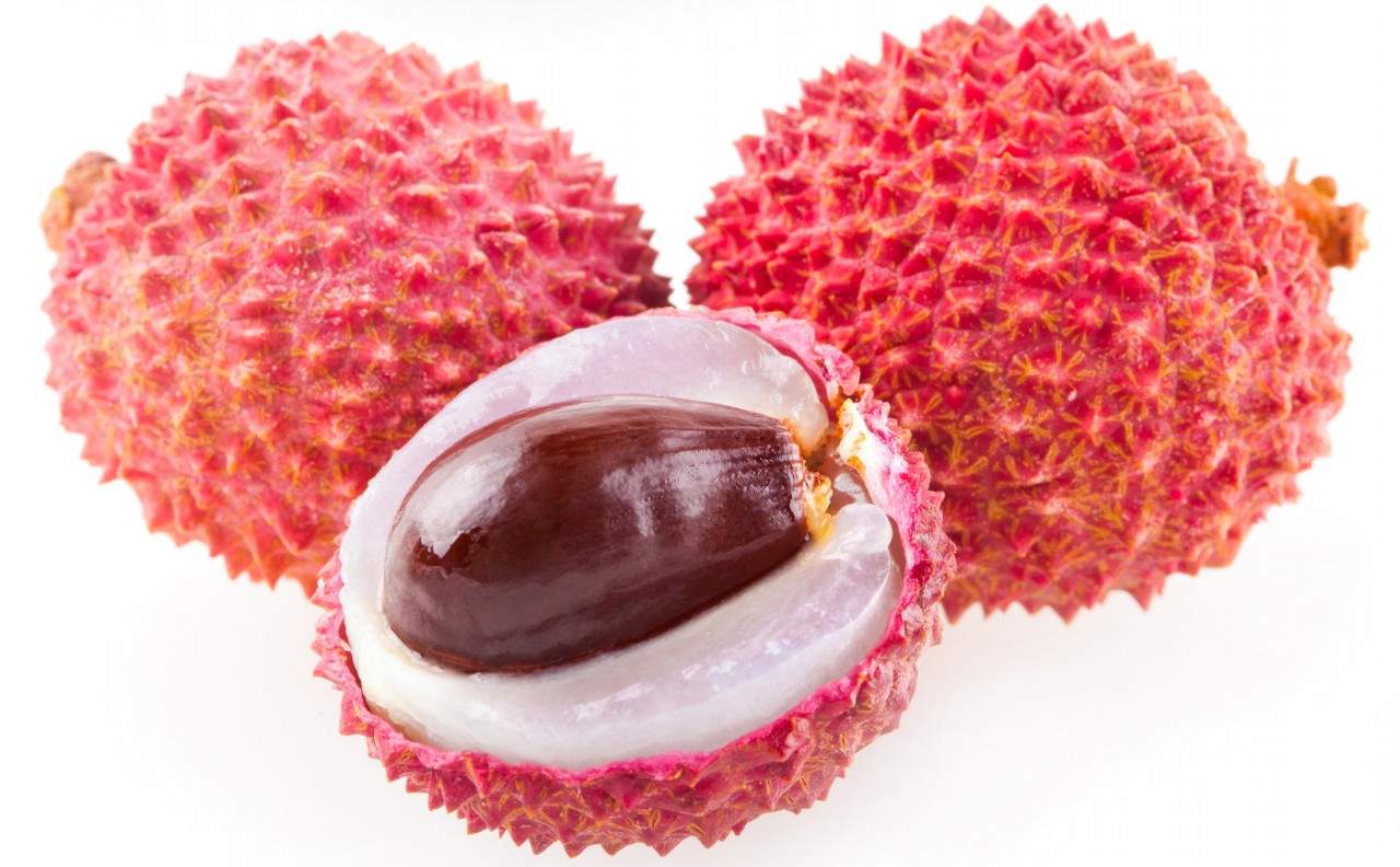 Mauritius Lychee Seeds – Heirloom, Non-GMO, Sweet Tropical Fruit Variety for Planting