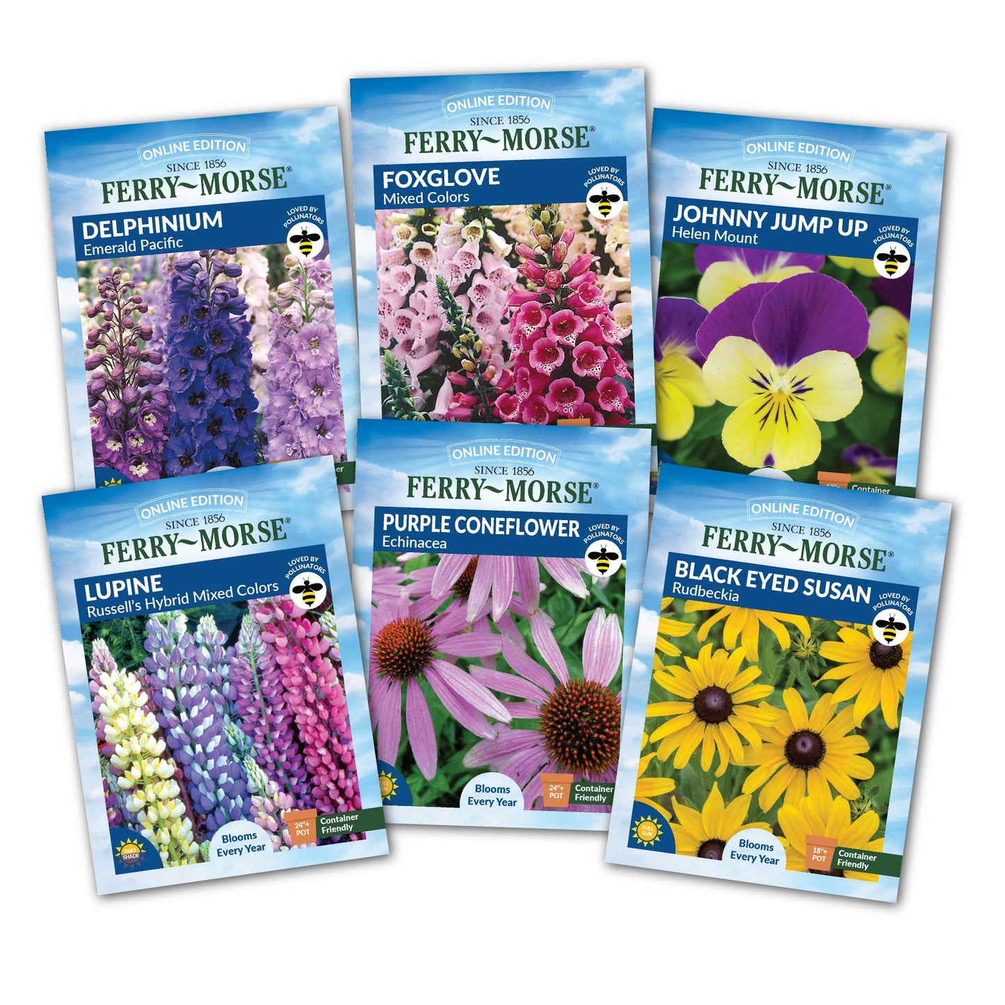 Perennials to Plant in Fall Seed Variety Pack - 6 Pack
