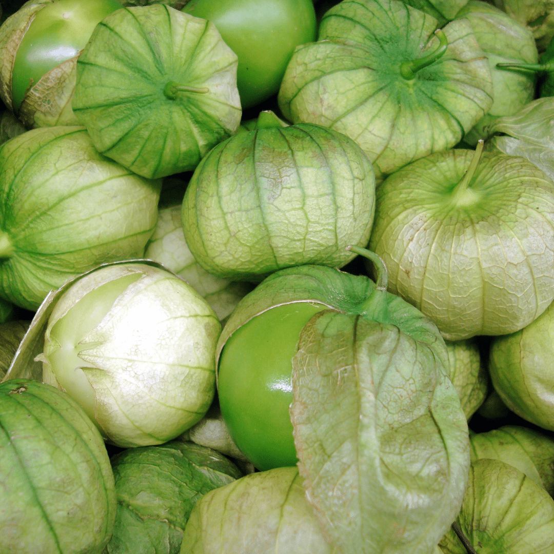 Toma Verde Tomatillo – Garden Vegetable Seeds