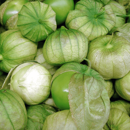 Toma Verde Tomatillo – Garden Vegetable Seeds