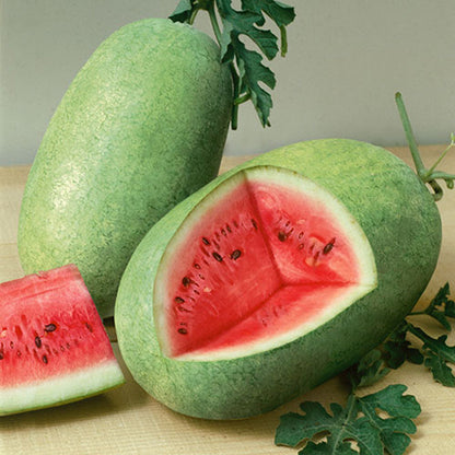 Charleston Gray Watermelon Seeds – Heirloom, Non-GMO, High-Yield, Large Oblong Variety