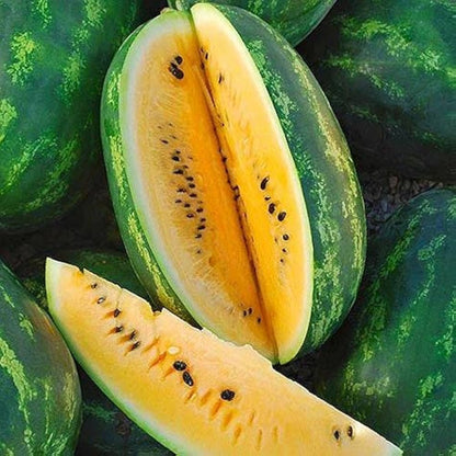 Yellow Crimson Watermelon Seeds – Heirloom, Non-GMO, Sweet Yellow-Flesh Variety