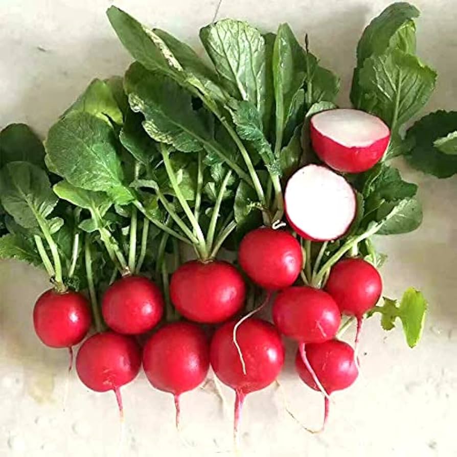 Cherry Belle Radish Seeds to Grow Your Own Food