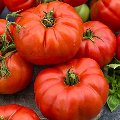 Beefsteak Tomato – Heirloom Vegetable Seeds