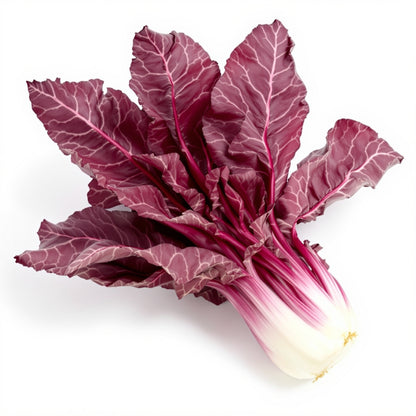 Ruby Red Swiss – Garden Vegetable Seeds
