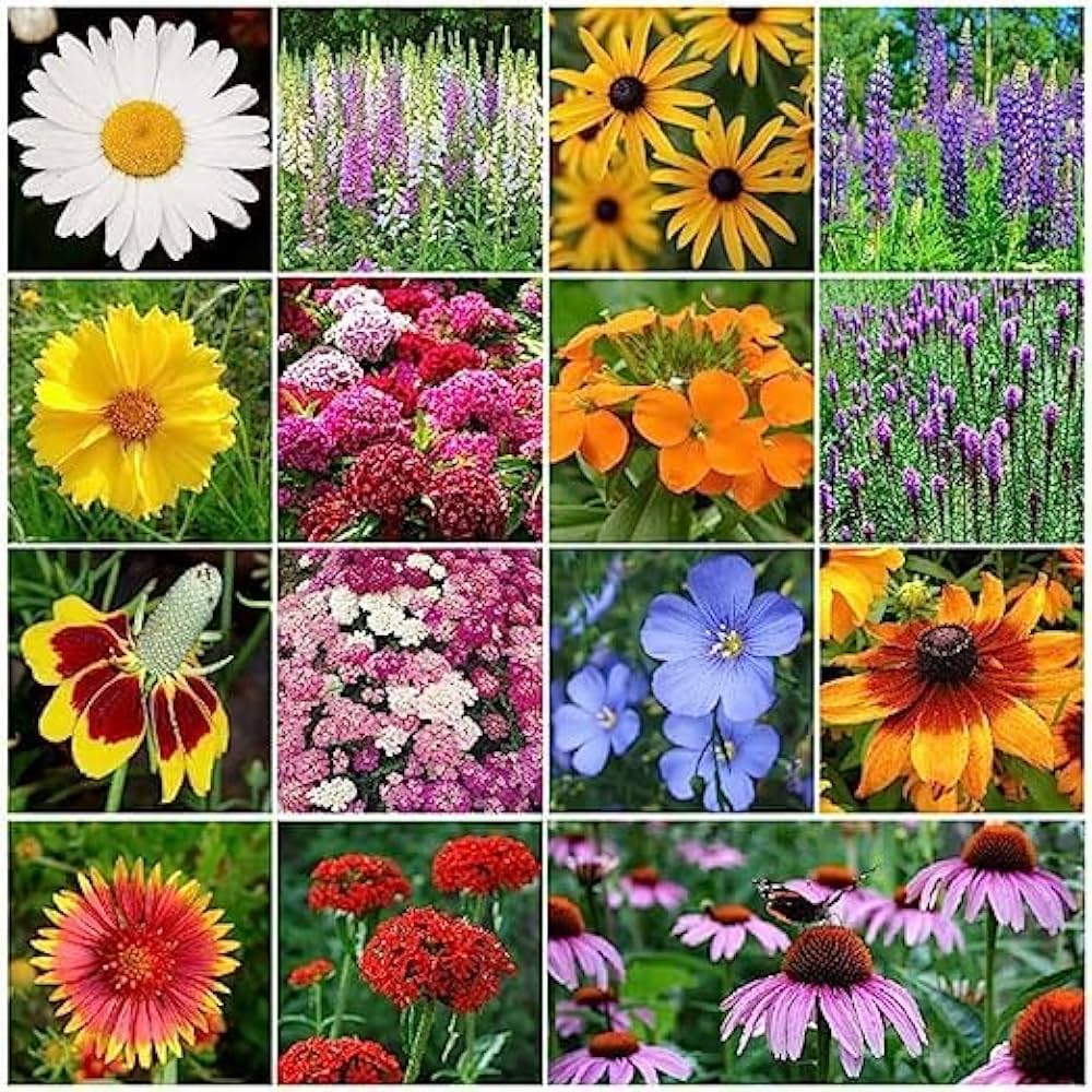 Wildflower Mix – Cascade Perennial Garden Flower Seeds