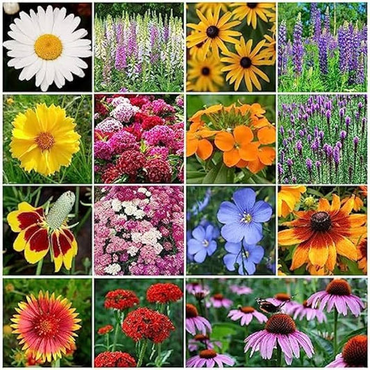 Wildflower Mix – Cascade Perennial Garden Flower Seeds
