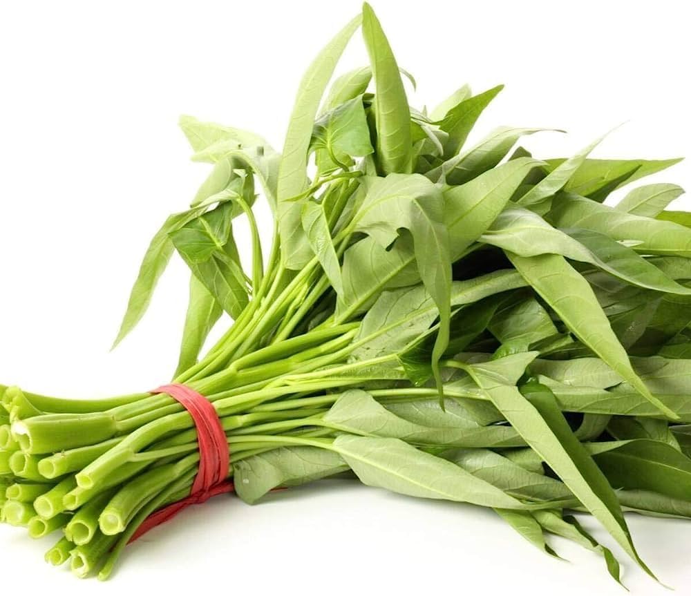 G Water Spinach – Garden Vegetable Seeds