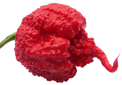 Carolina Reaper Pepper – Extra Hot Vegetable Seeds