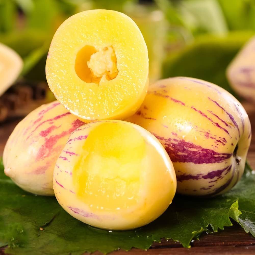 Pepino ‘El Camino’ Seeds – Heirloom, Non-GMO, Sweet Melon-Pear Variety for Planting
