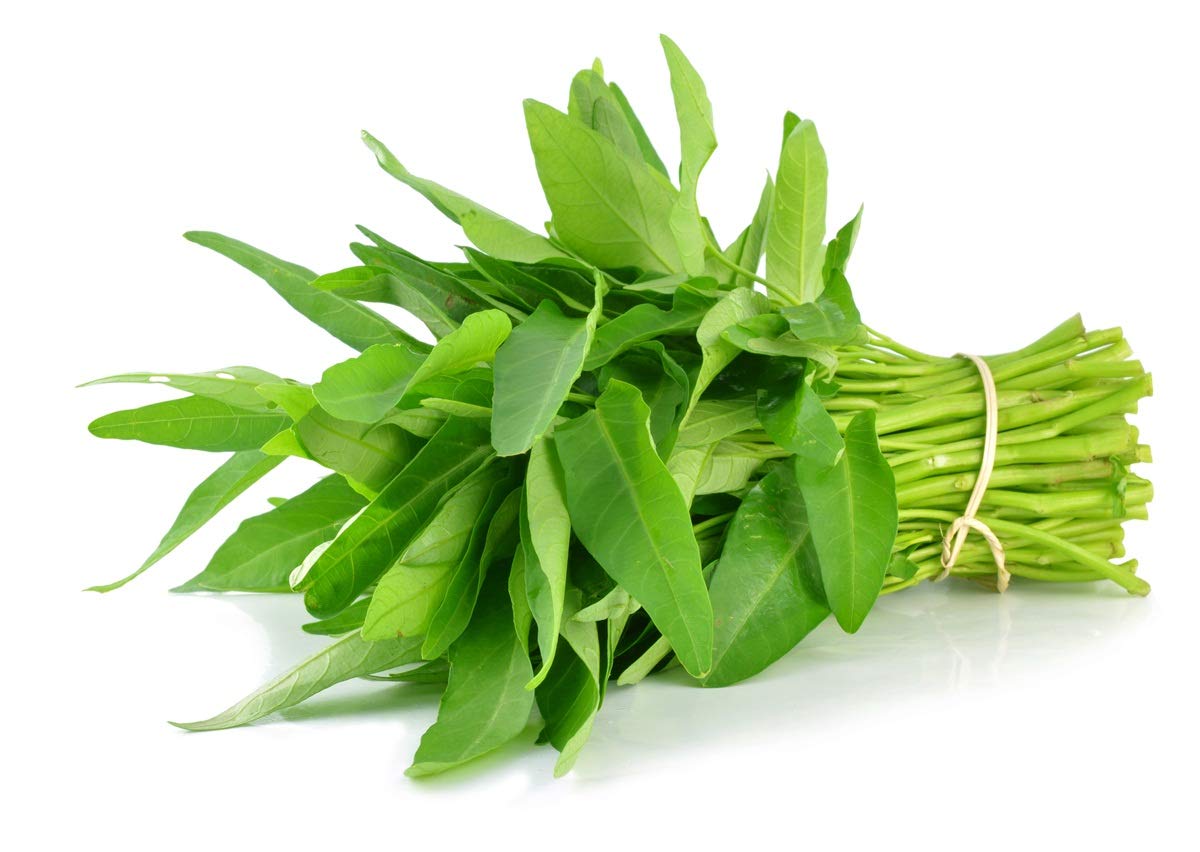 G Water Spinach – Garden Vegetable Seeds
