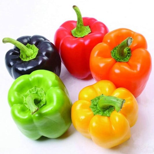 Sweetest Redyellowgreenorange Bell – Garden Fruit Seeds