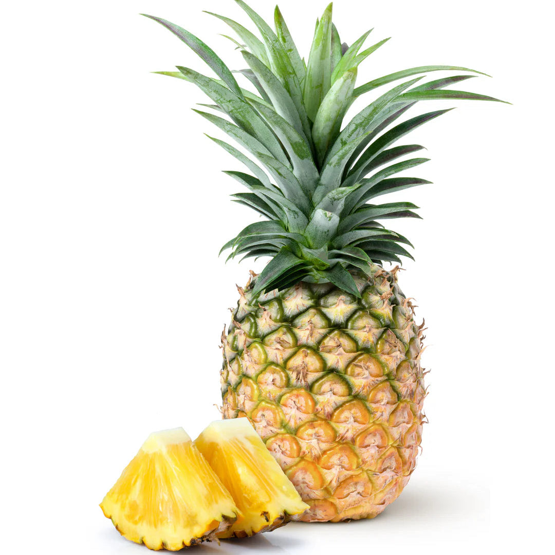 Smooth Cayenne Pineapple Ananas Comosus Seeds for Planting – Heirloom, Non-GMO, Easy to Grow Tropical Fruit
