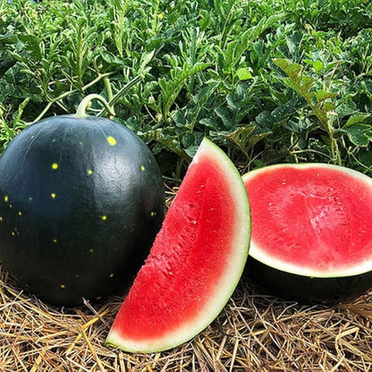 Black Diamond Watermelon Seeds – Heirloom, Non-GMO, Large Dark-Green Variety for Planting