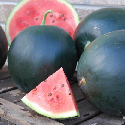 Densuke Watermelon Seeds for Planting – Black-Rind Japanese Variety, Heirloom, Non-GMO