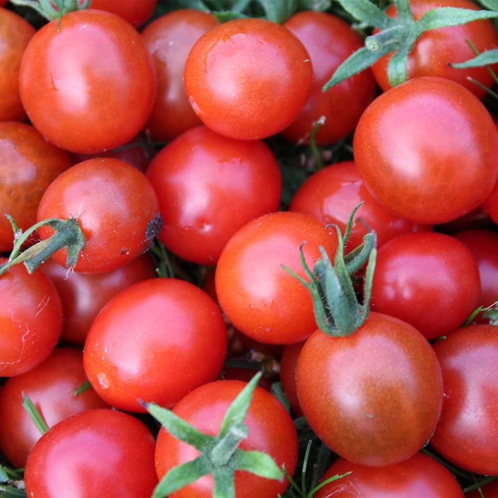 Cherry Tomato Lycopersicon – Vegetable Garden Seeds