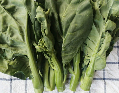 Kailaan Gai Lan – Asian Green Broccoli Kale Vegetable Seeds