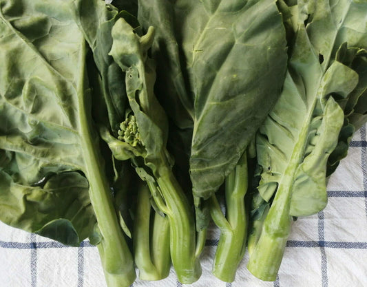 Kailaan Gai Lan – Asian Green Broccoli Kale Vegetable Seeds