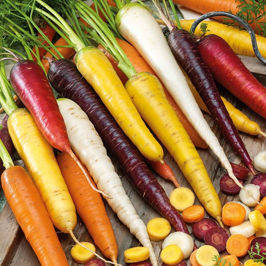 Rainbow Blend Carrot – Garden Vegetable Seeds