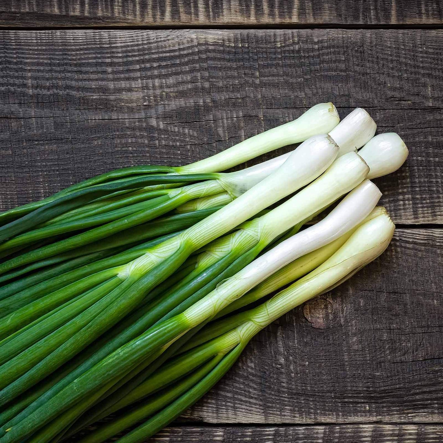 Tokyo White Bunching – Garden Vegetable Seeds