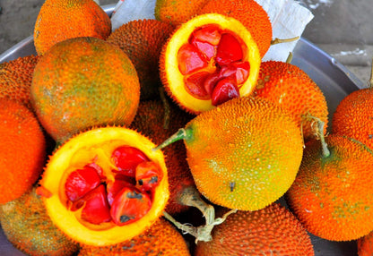 Momordica Cochinchinensis – Edible Gac Fruit Vine Seeds